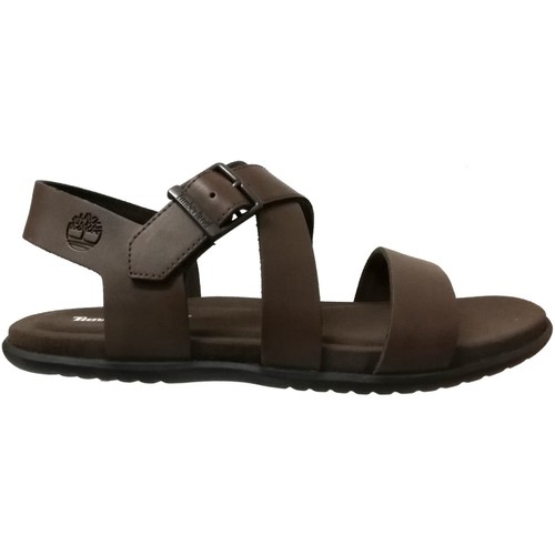 Timberland - Kesler cove backstrap Marrón