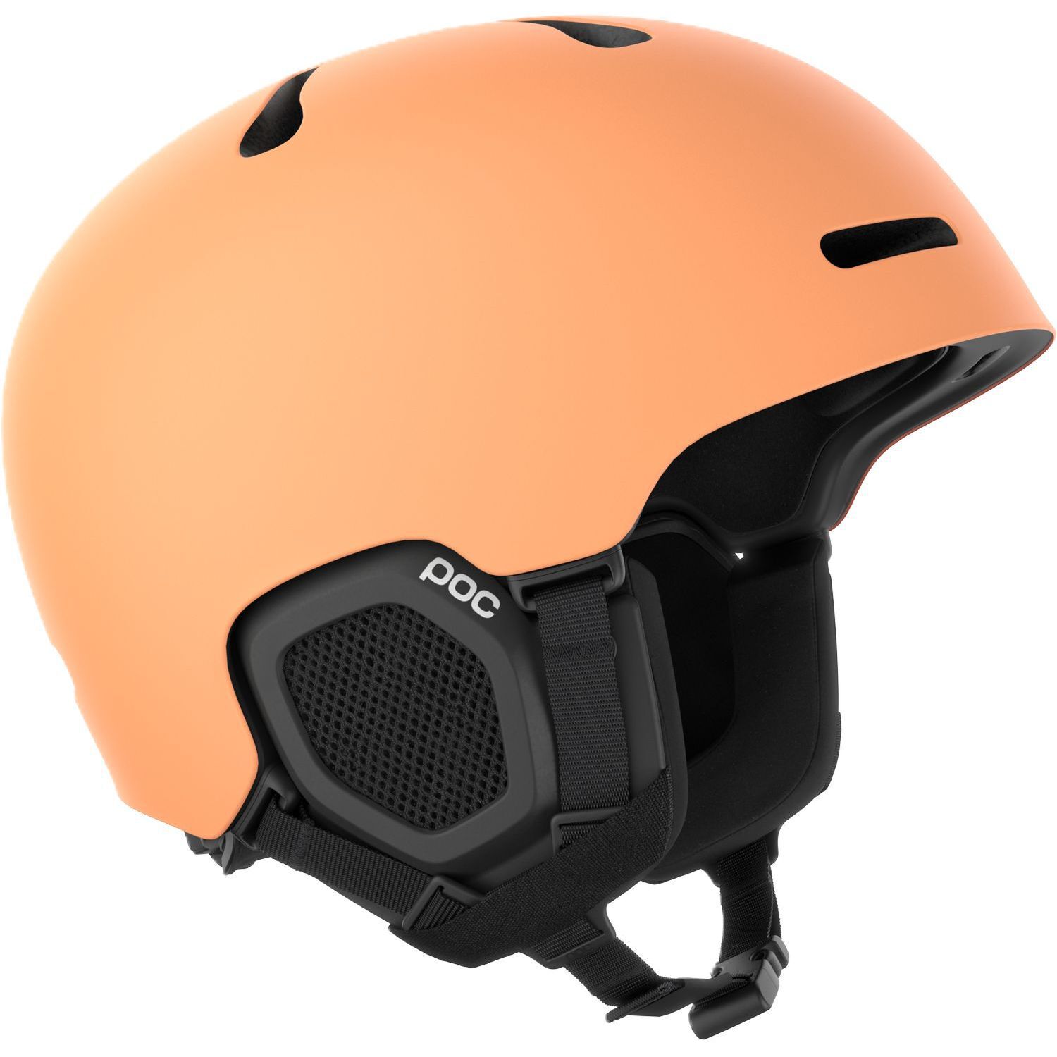 POCFornix MIPS