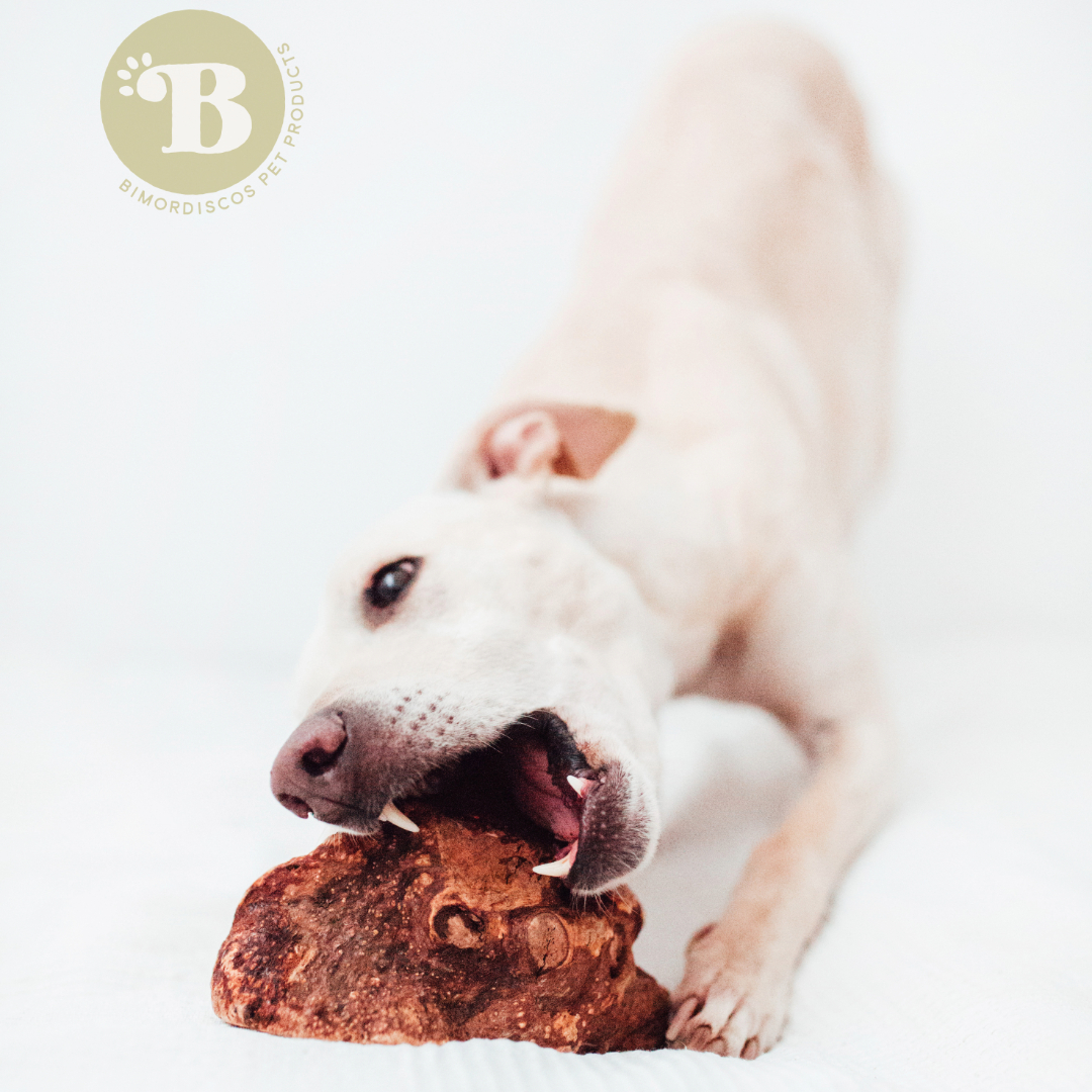 BIMORDISCOs Raiz de Urze com Óleo de Salmão para Cães - Pacote com 2 unidades tamanho G