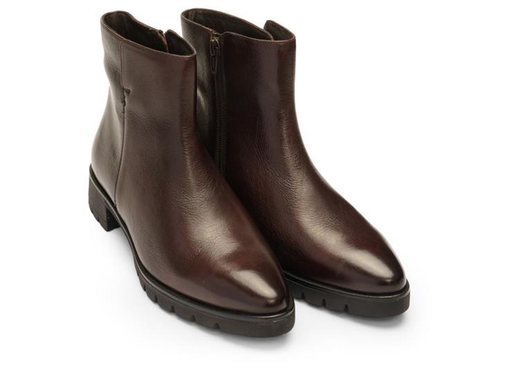 Ara 12-59300 Napoli cacao