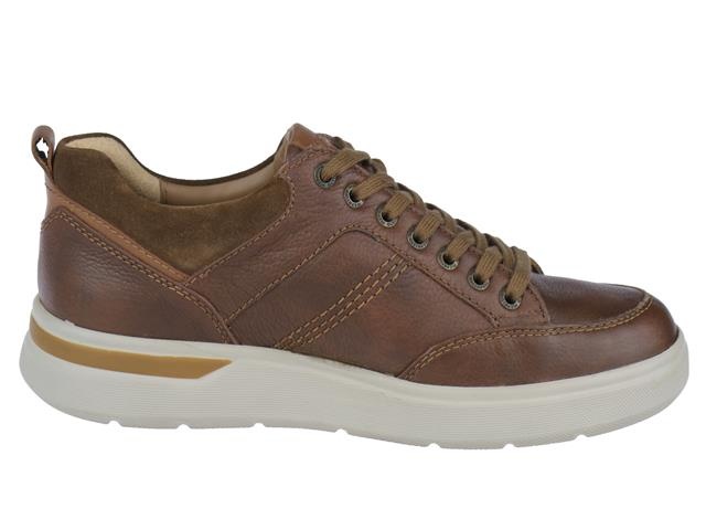 Mephisto Olivier