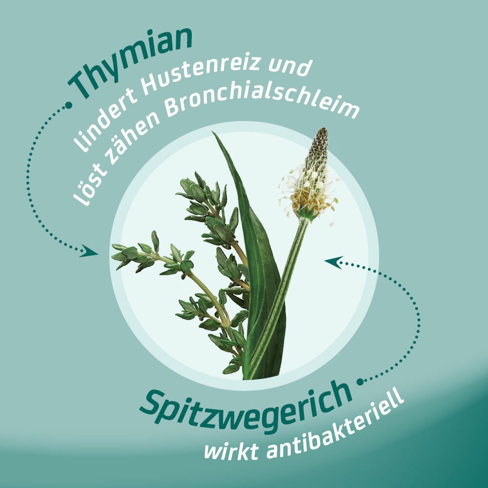 Eucabal®-Hustensaft