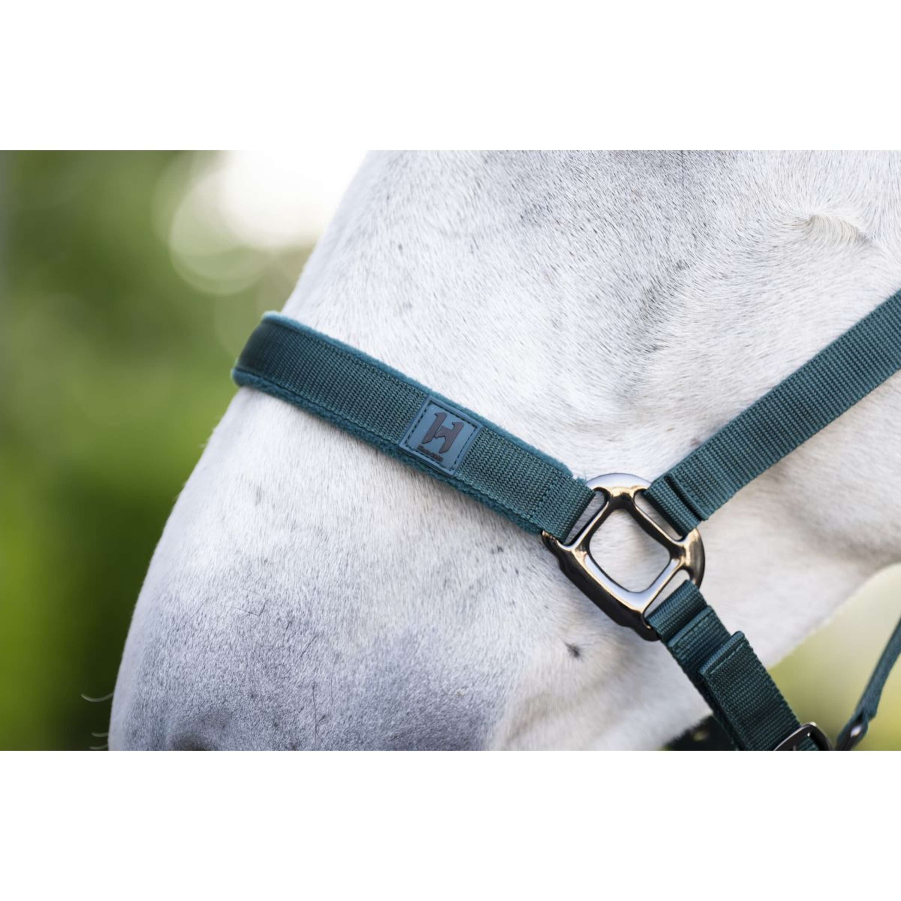 Amigo Halster & Touw Dynasty Green
