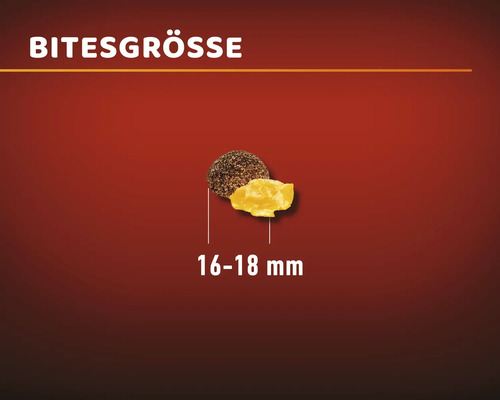MR.BEEF droogvoer voor honden in vlokkenvorm, 15 kg rundvlees, non-GMO, zonder toegevoegde suikers, zonder kunstmatige kleurstoffen, zonder soja. Gemaakt in Duitsland.