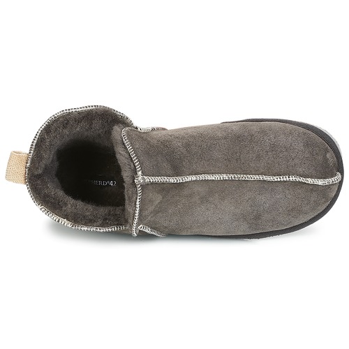 Shepherd - ANDY - Gris