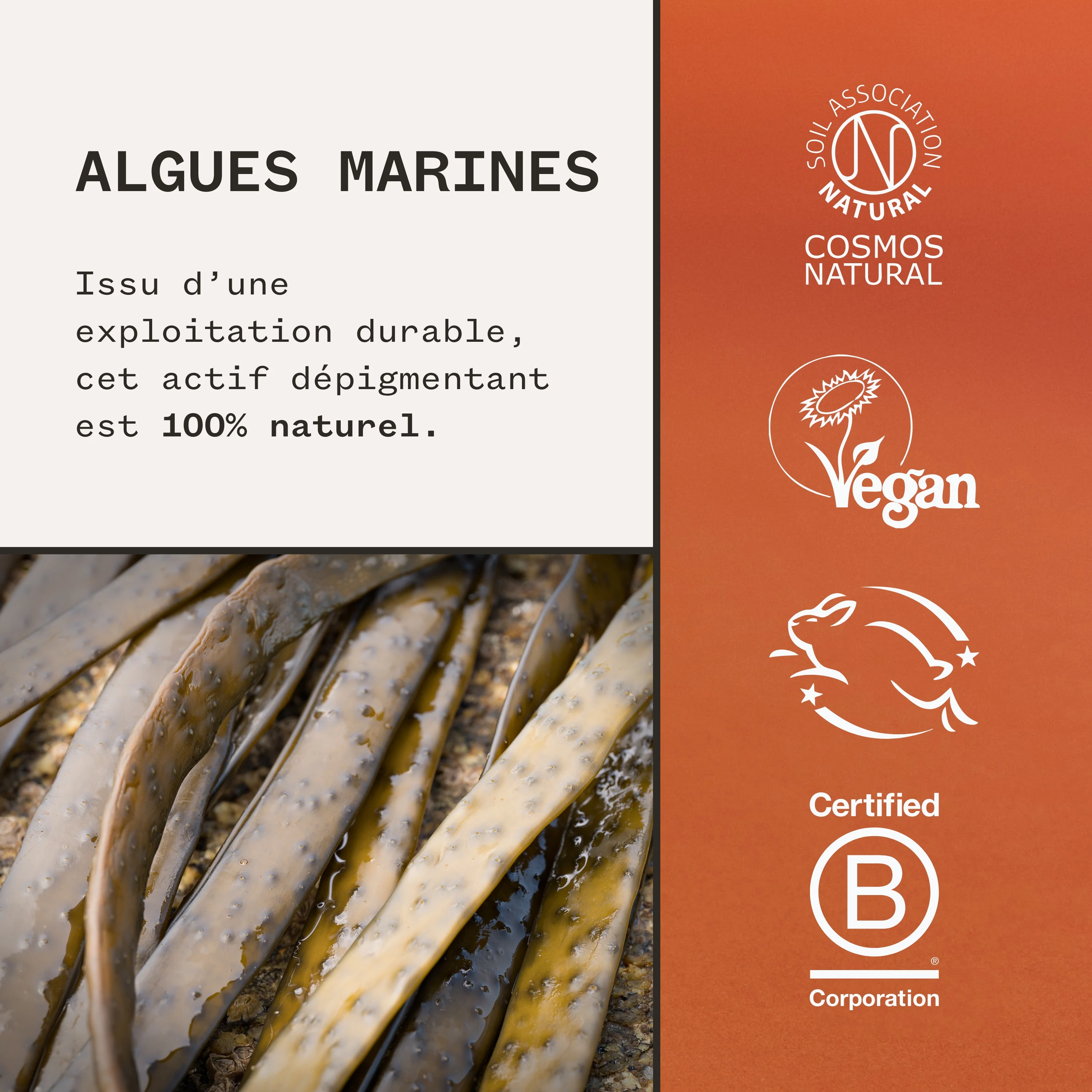 Fade Forward - Sérum Anti-Taches aux Algues Marines |
