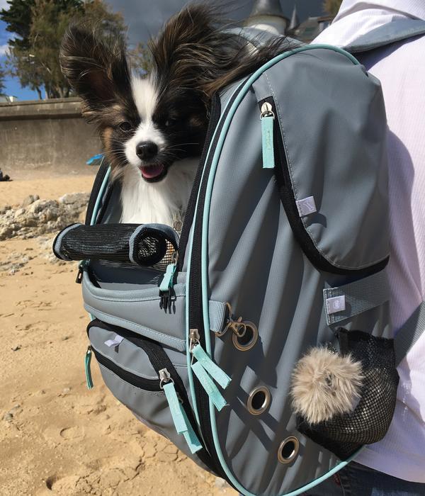 Nobby Multifunktions-Rucksack Nomad, ca.