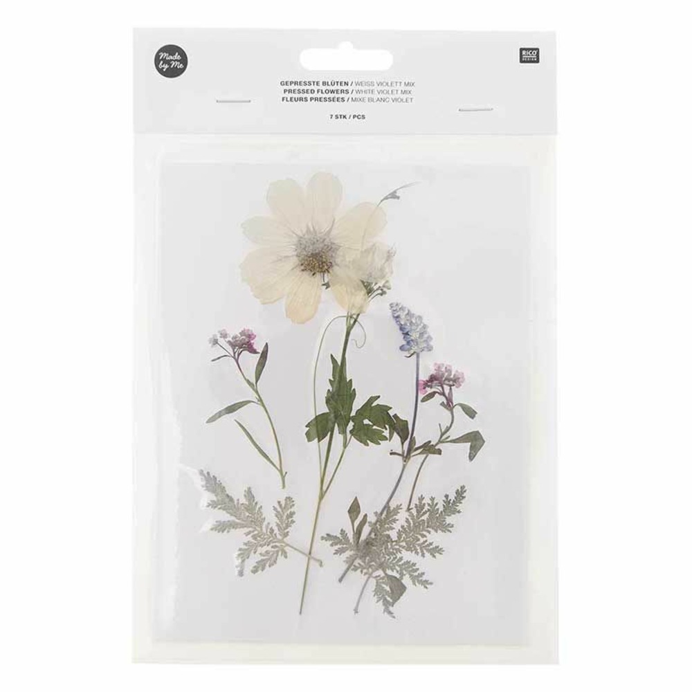 Fleurs séchées et pressées - blanc et violet