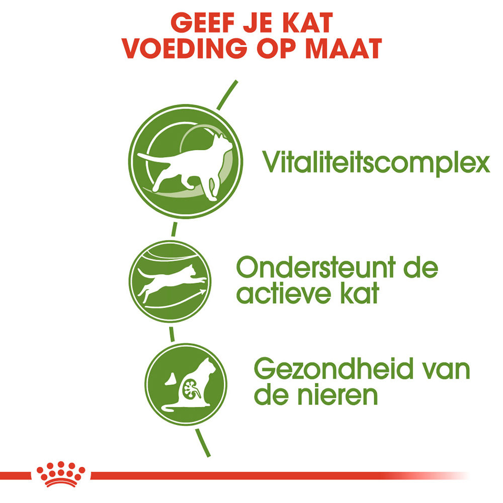 Royal Canin Outdoor 7+ - Kattenvoer
