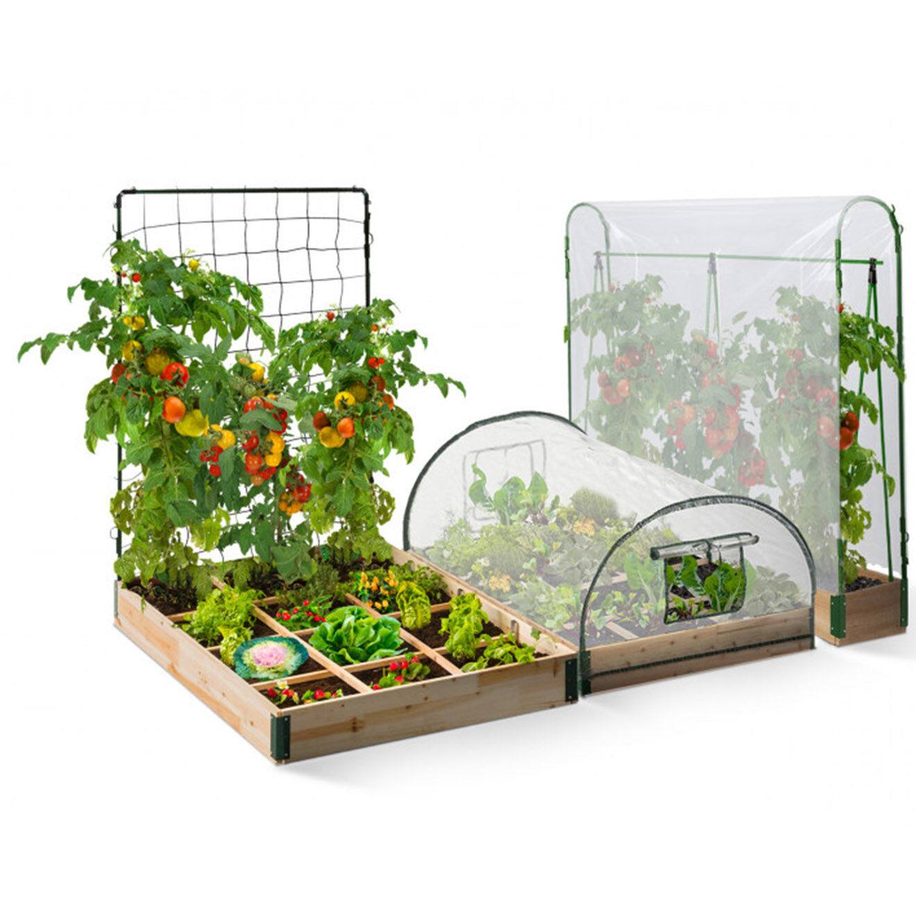 Pratik Garden Serre de potager Aroma Modula Tomato bois naturel/vert/noir - 115x80x54 cm