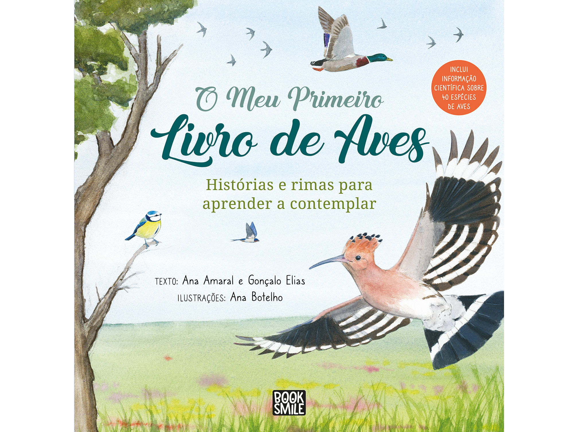 LIVRO O MEU PRIMEIRO LIVRO DE AVES