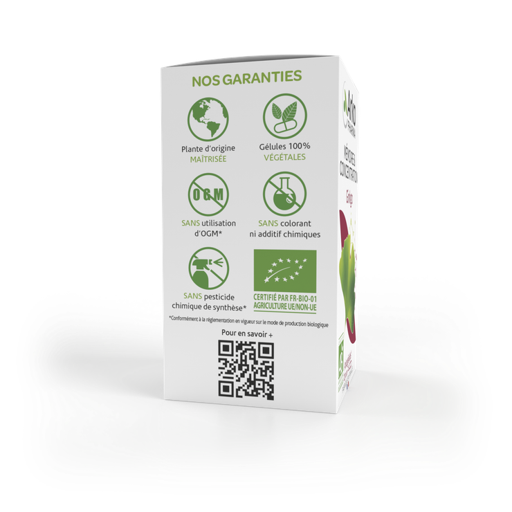 Arkogélules ginkgo mémoire 45 gélules