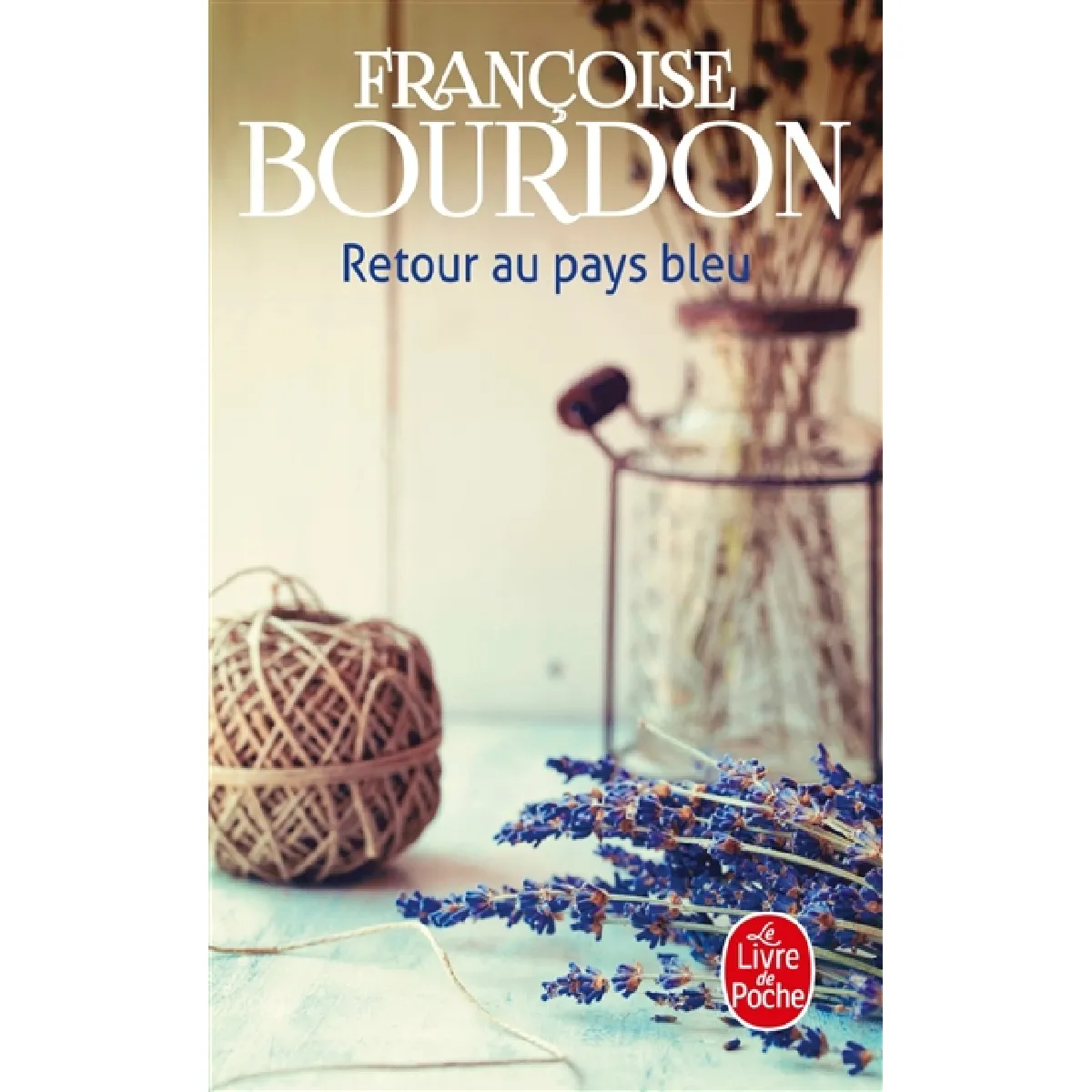 Retour au pays bleu · Occasion