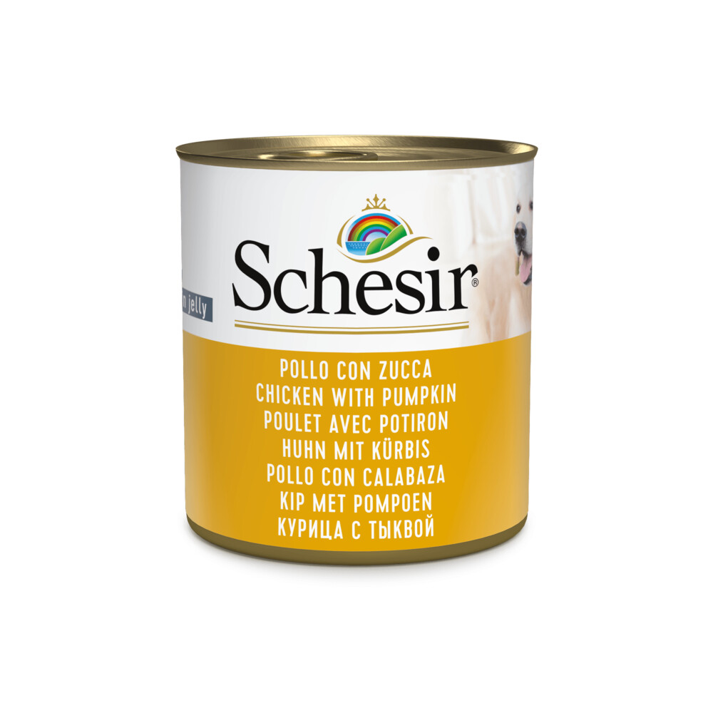 Schesir Hondenvoer Kip Pompoen in Gelei285 gr