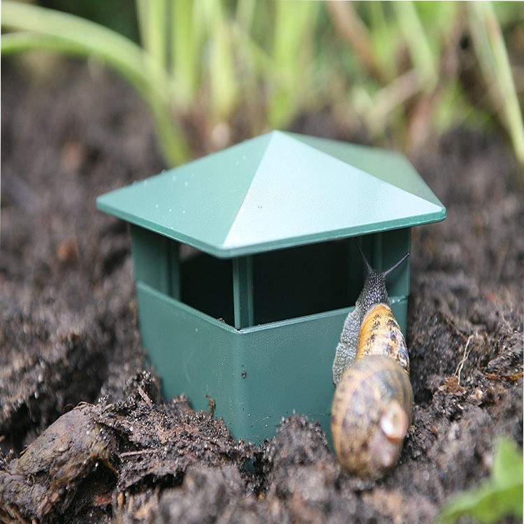 (5er Set) Umweltfreundliche Schneckenfalle Garten Pflanzen Schutz Gemüsebeet Schnecken Abwehr - Grün