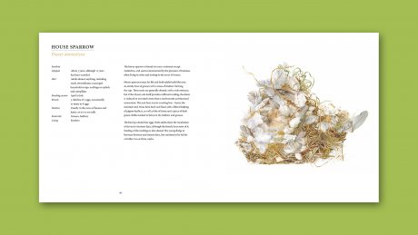 Nests (Hardback)