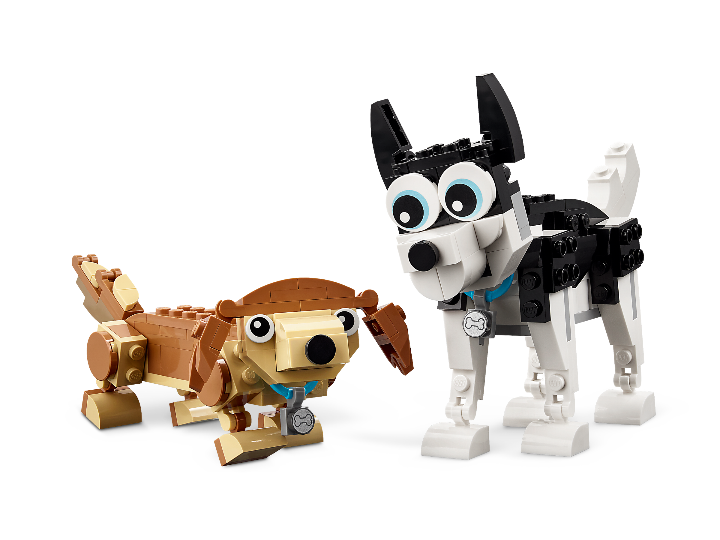 Cães adoráveis 31137