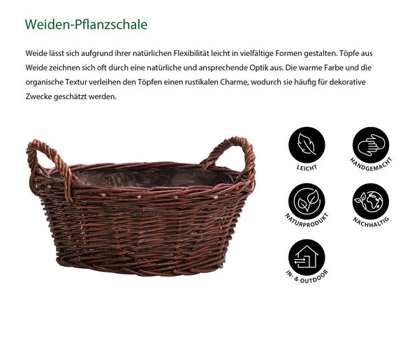 Dehner Weiden-Pflanzschale, konisch, ca.