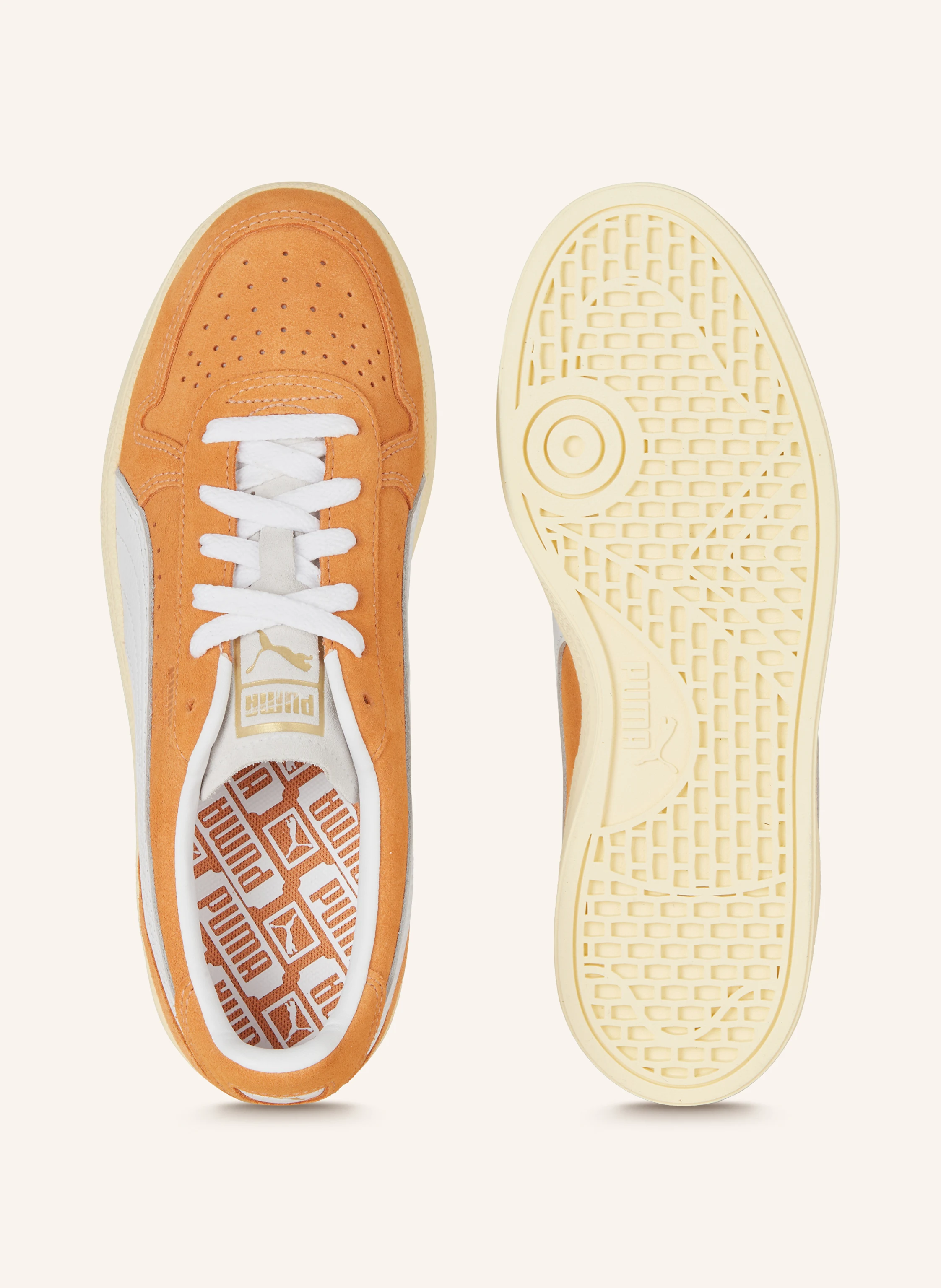 PUMA Sneaker INDOOR SOFT