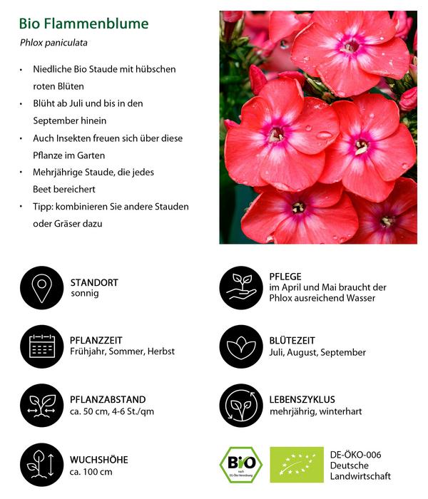 Bio Stauden-Set Blütenkollektion, Landlust