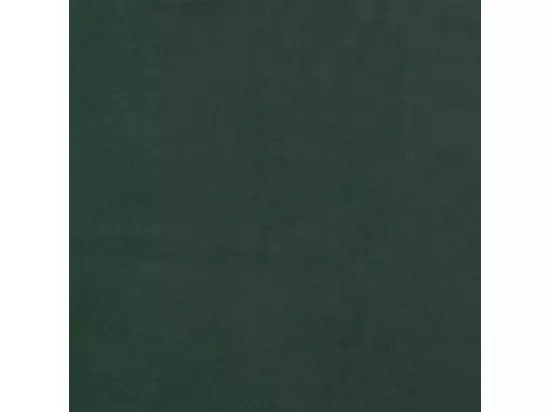 Sommier à lattes de lit Vert foncé 90x200 cm Velours