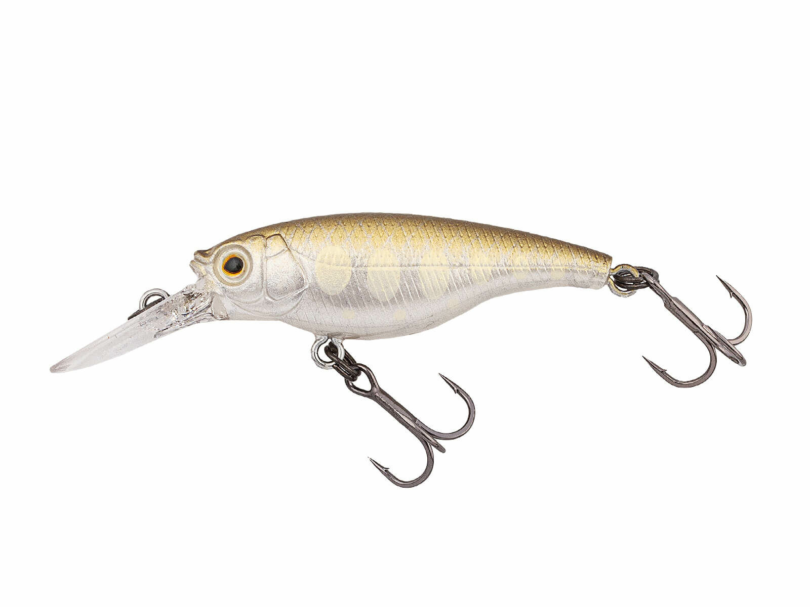 SX 40F (500) Gold Fry