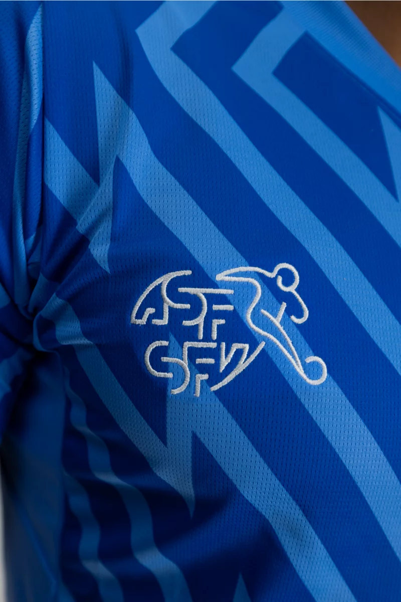 Puma Schweiz Replica Herren Torwarttrikot EM 2024 blau