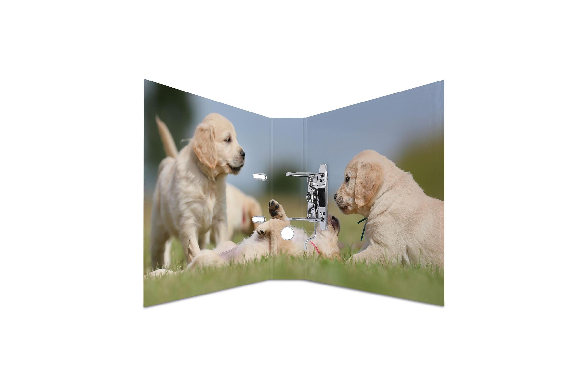 Ordner Hunde 7 cm, MehrfarbigOrdner 7 cm