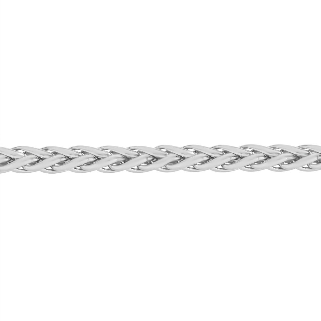 Chaîne Jayna Danilo Maille Palmier Or Blanc