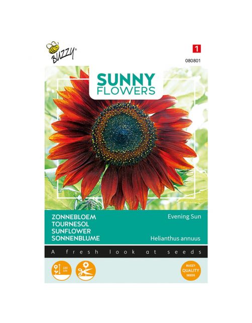 Buzzy Sunny Flowers - Zonnebloem Avondzon - Bloemenzaden - 4 g
