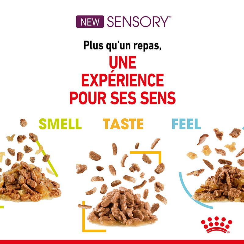 Royal Canin Sensory Taste en sauce