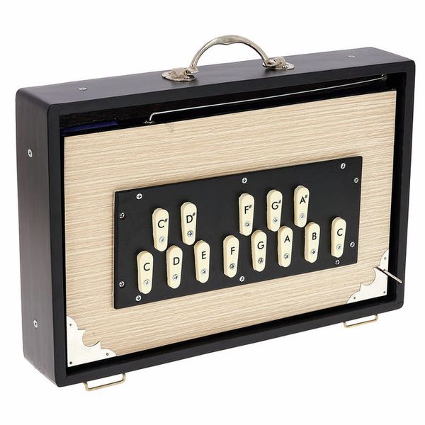 Thomann Nataraj Surpeti Shruti Box