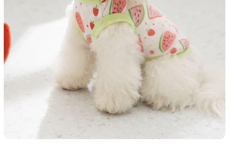 Cissilli - Fruit Pet Top (verschillende ontwerpen)
