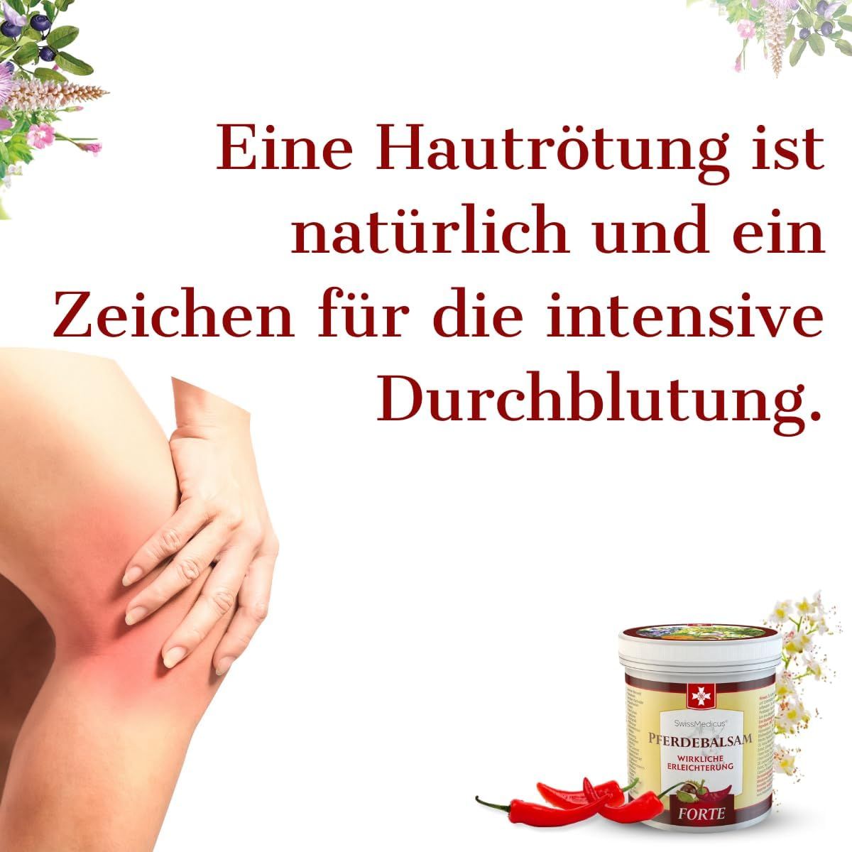 SwissMedicus Pferdebalsam  FORTE