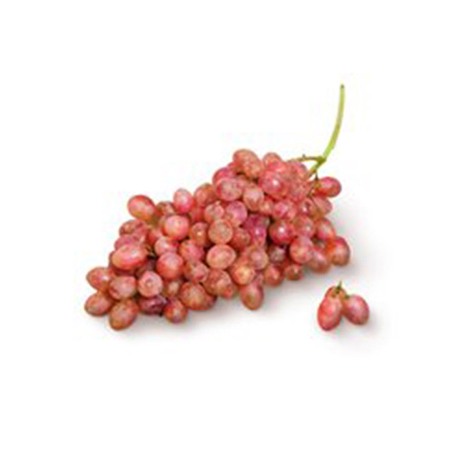 Trauben rot kernlos