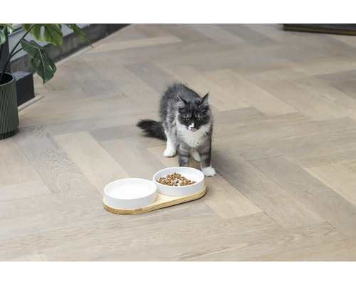 Dubbele kom ontworpen door Lotte, kattenservies, houten komstandaard ca. 34 x 17 x 5 cm met 2 keramische kommen, vaatwasserbestendig ca. 16 x 16 x 3,5 cm, elk 350 ml