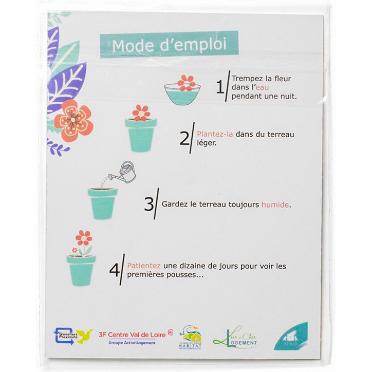 Pack formes printemps en papier ensemenc  - 3,5 cm -   100 pcs - coloris blanc