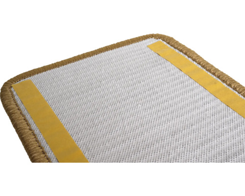 Sisal trapmat 50 Nature 20x65 cm