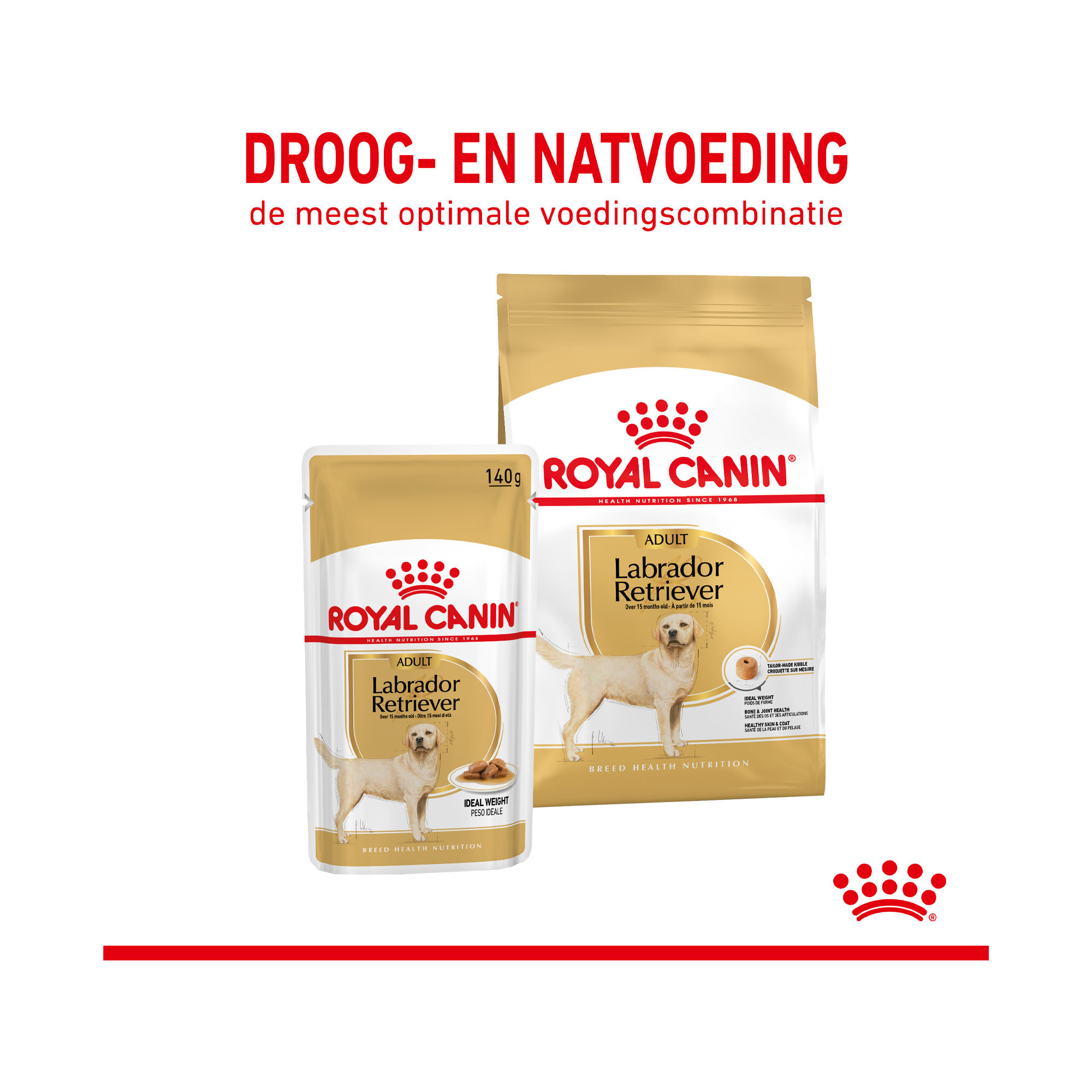 Royal Canin Labrador Retriever Adult Wet