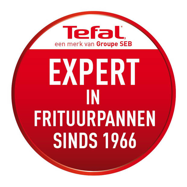 Tefal FF1621 Friteuse FiltraOne 2,1L