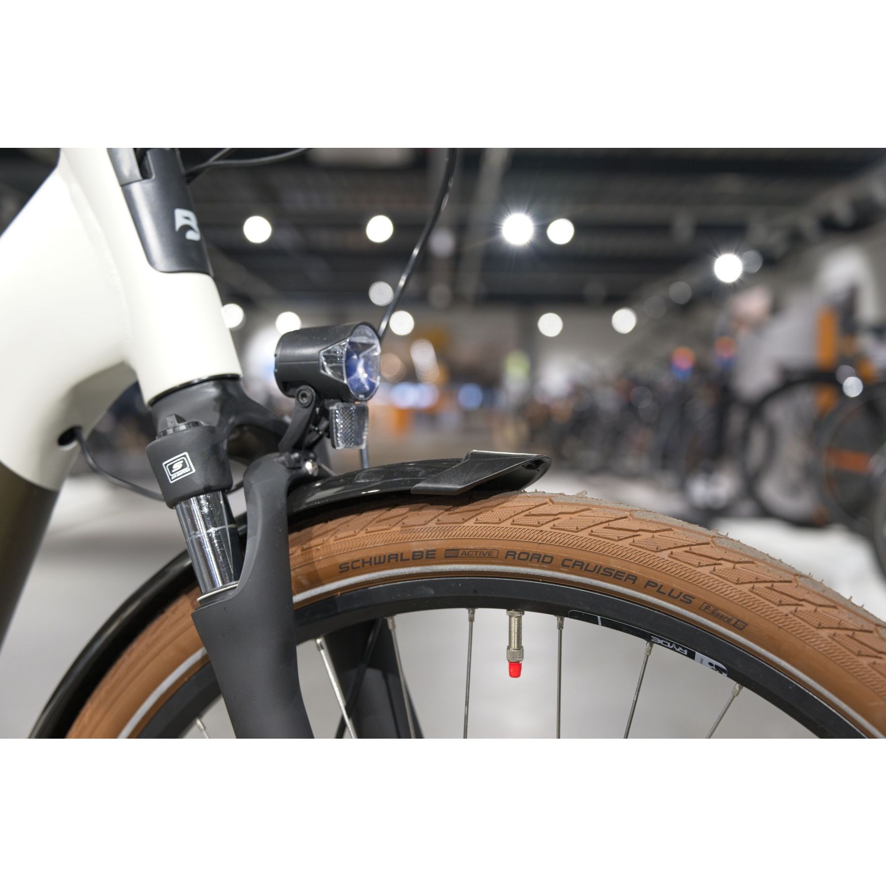 Batavus Altura E-Go Power Pro 2025