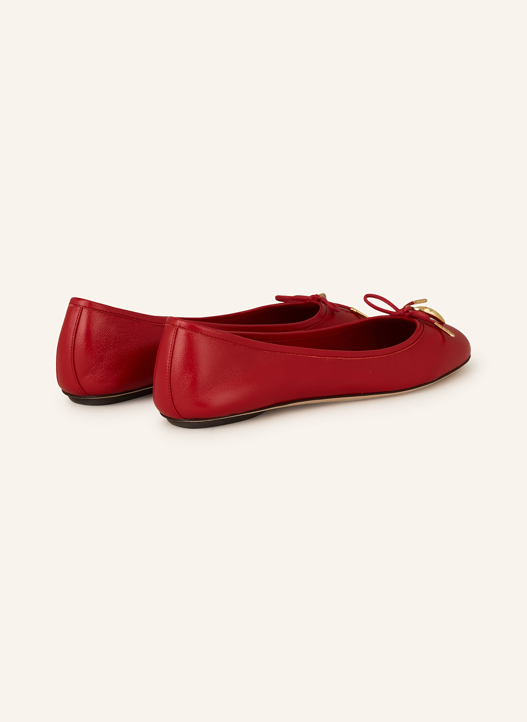 Chloé Ballerinas IRIS