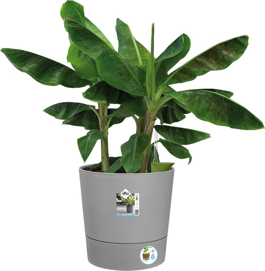 Elho bloempot Greensense Aqua Care grijs D 43 H 42,5 cm