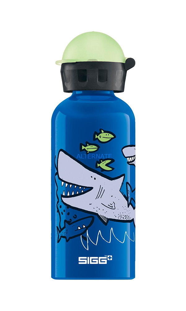 Gourde Enfant Bottle Sigg Alu