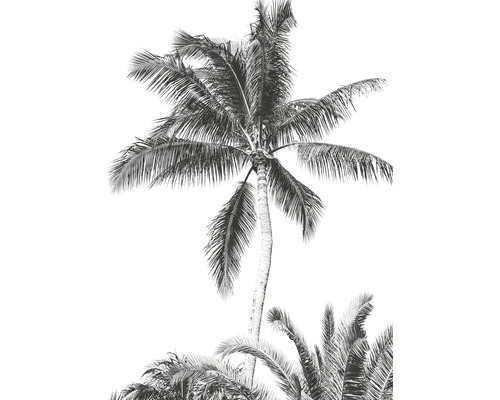 Fotobehang vliesbehang IAX4-0011 Into Adventure Retro Palm 4-delig 200x280cm