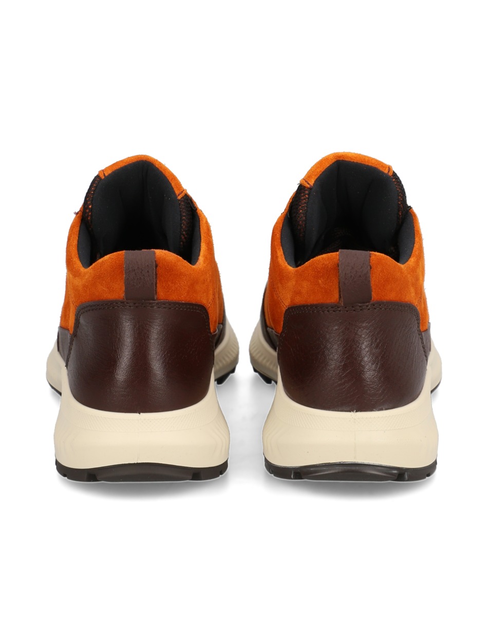Hiker- GoreTex