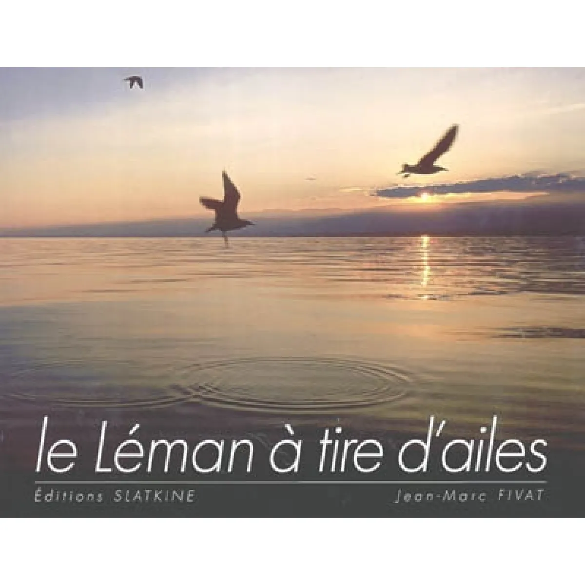 Le Léman à tire d'ailes · Occasion