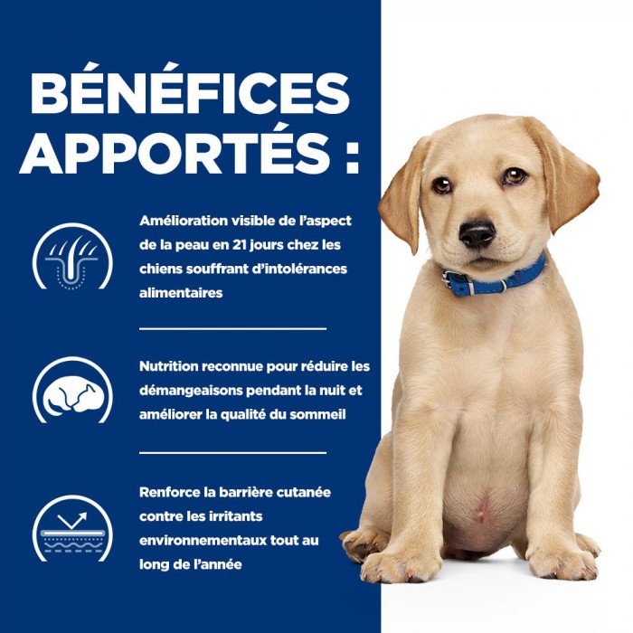 HILL'S Prescription Diet Derm Complete Puppy - Croquettes pour chiot