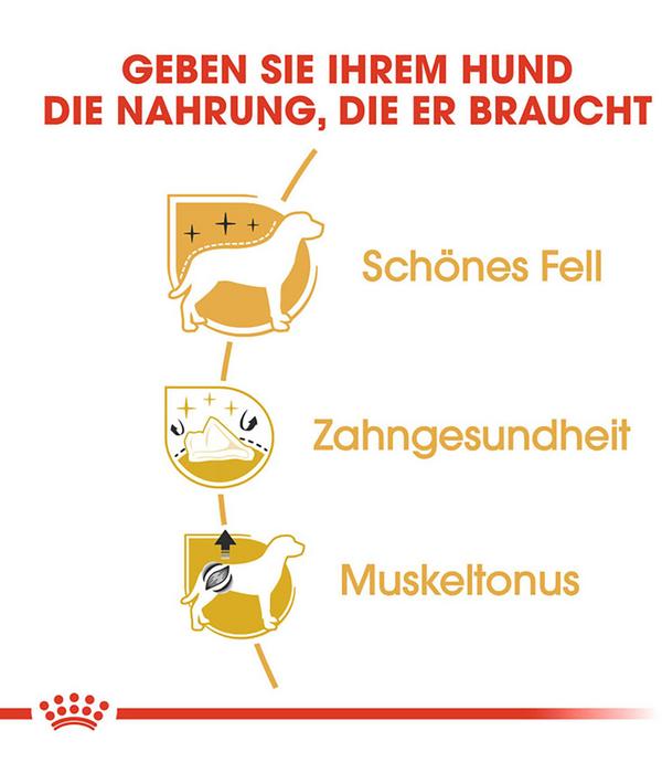 ROYAL CANIN® Trockenfutter für Hunde Poodle