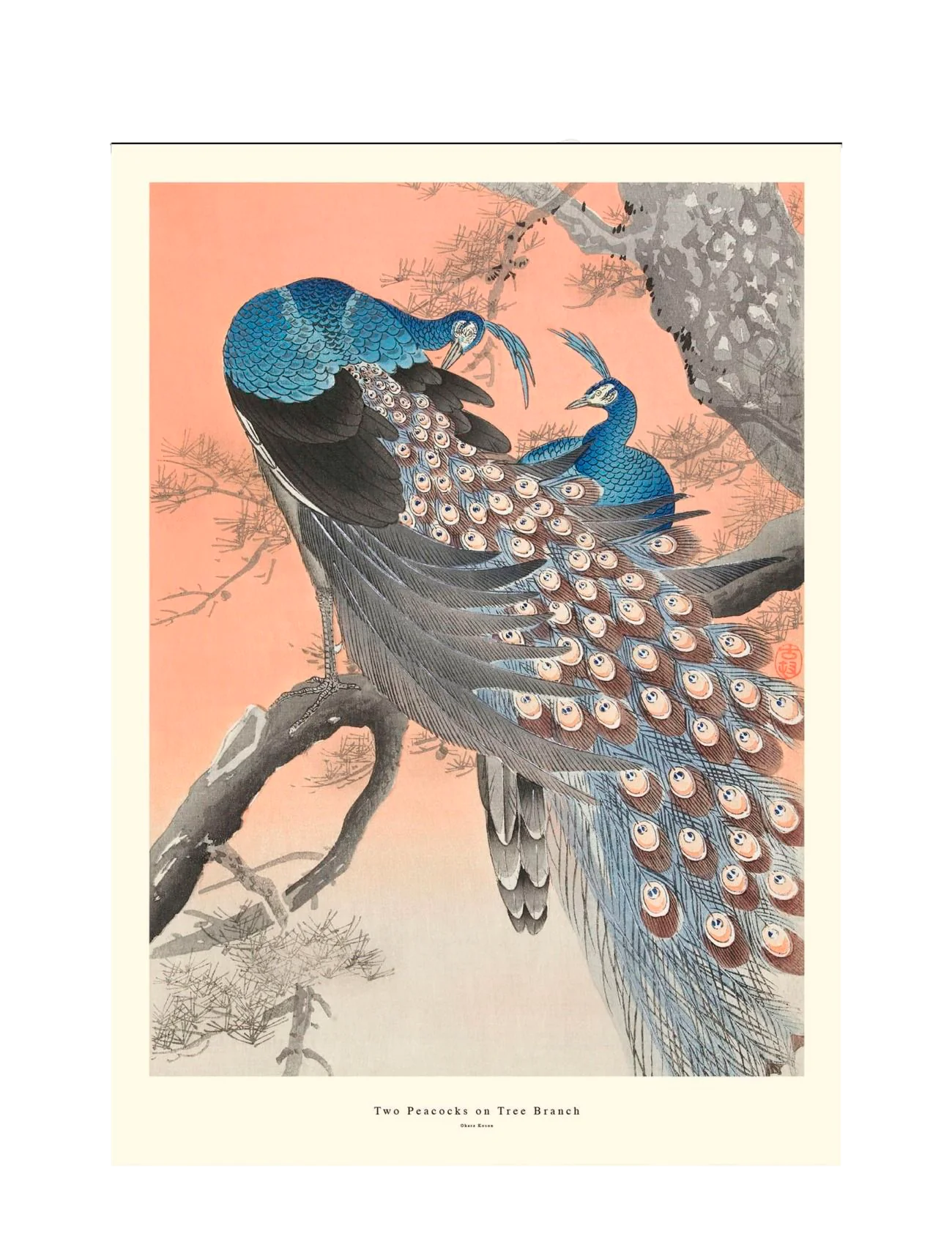 Poster & Frame  Two Peacocks On Tree Branch plakat - mix